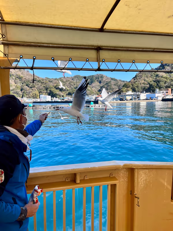 Tokyo Private Tour - Feed the seagulls