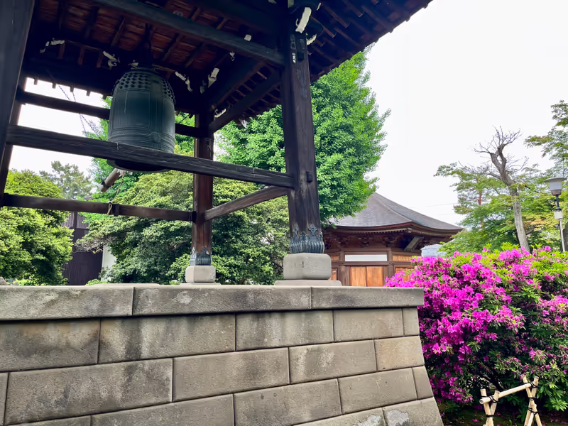 Tokyo Private Tour - Shuzenji Temple
