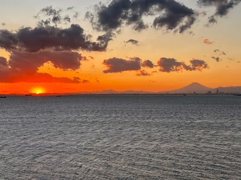 Tokyo Private Tour - Fuji and Sunset