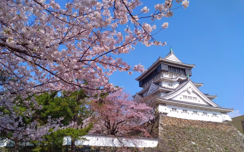 Fukuoka Private Tour - Kokura Castle