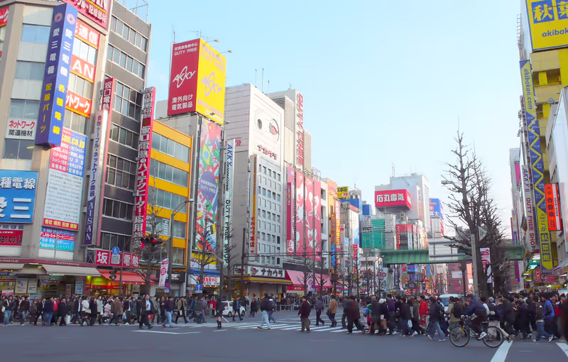 Tokyo Private Tour - Akihabara