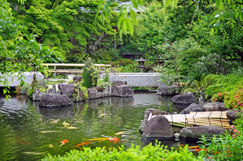 Tokyo Private Tour - 