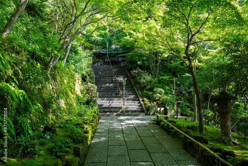 Tokyo Private Tour - 