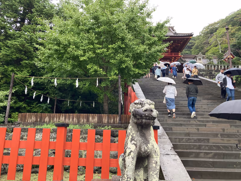Tokyo Private Tour - Tsurugaoka Hachiman Shrine
