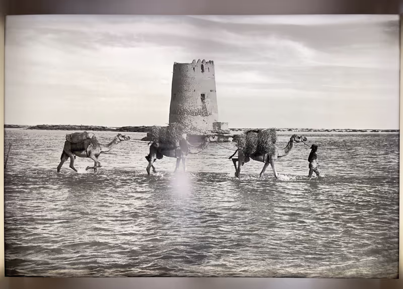 Al Ain Private Tour - 