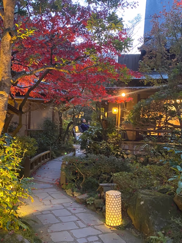 Tokyo Private Tour - A stroll after dinner