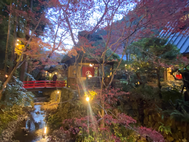 Tokyo Private Tour - Magical sight in the dusk…
