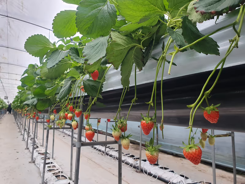 Seoul Private Tour - 