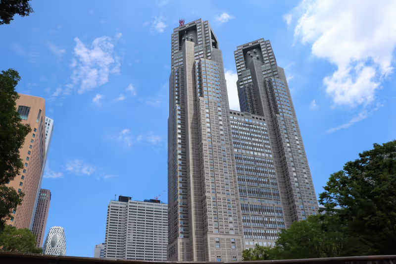 Tokyo Private Tour - Metropolitan Government Building