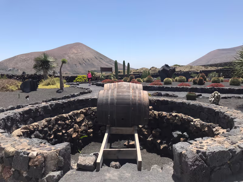 Canary Islands Private Tour - 