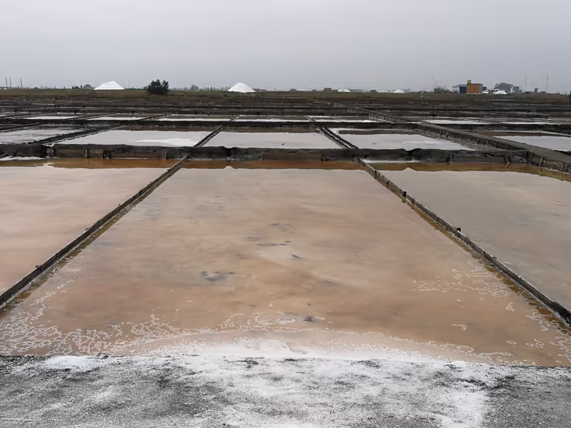 Lisbon Private Tour - Salt pans
