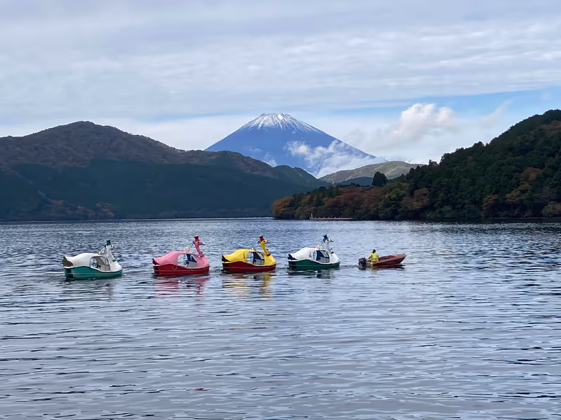 Tokyo Private Tour - Every day, you'll meet every different Fuji!