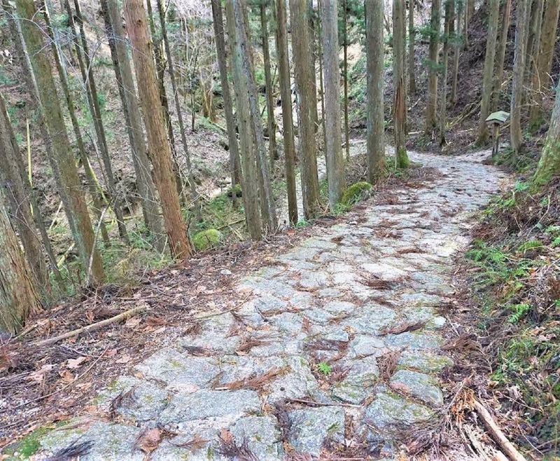 Nagoya Private Tour - Trail in the mountain