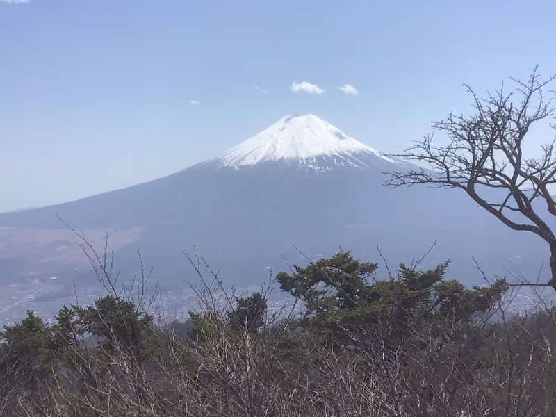 Mount Fuji Private Tour - View of Mt Fuji from Mistsutoge
