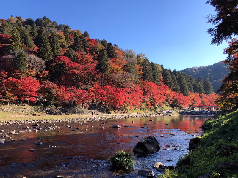 Nagoya Private Tour - Korankei gorge river