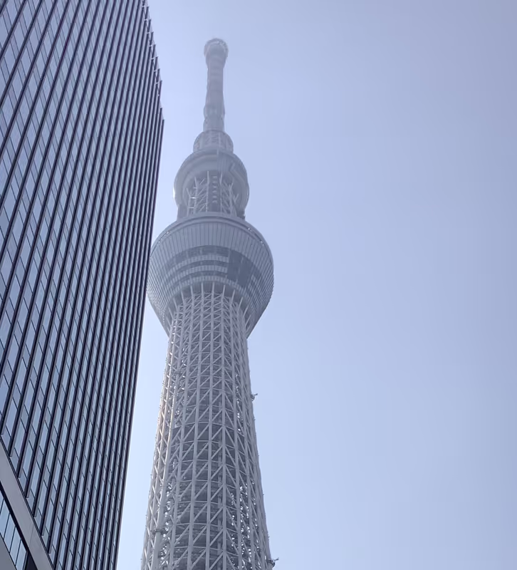 Tokyo Private Tour - Tokyo Sky Tree