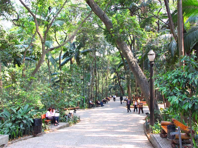 Sao Paulo Private Tour - 