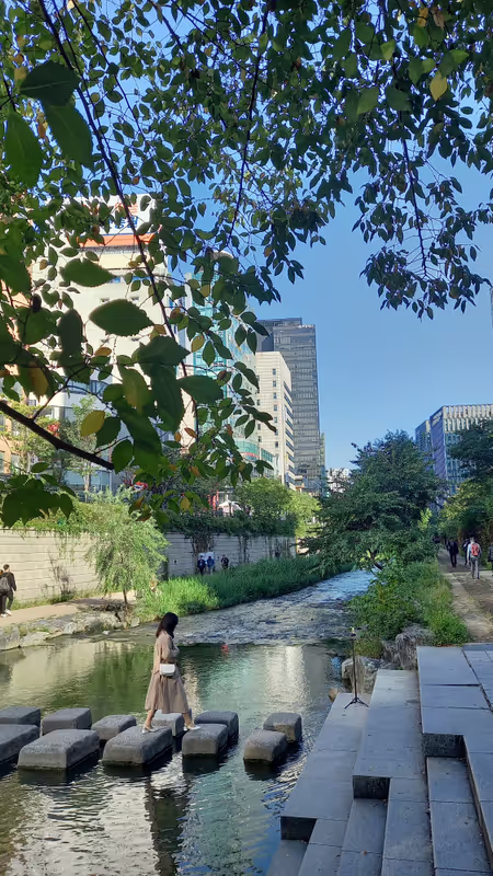 Seoul Private Tour - Cheonggyecheon stream
