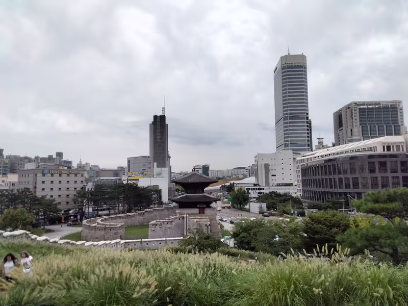 Seoul Private Tour - Old East gate