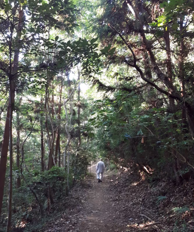 Seoul Private Tour - 