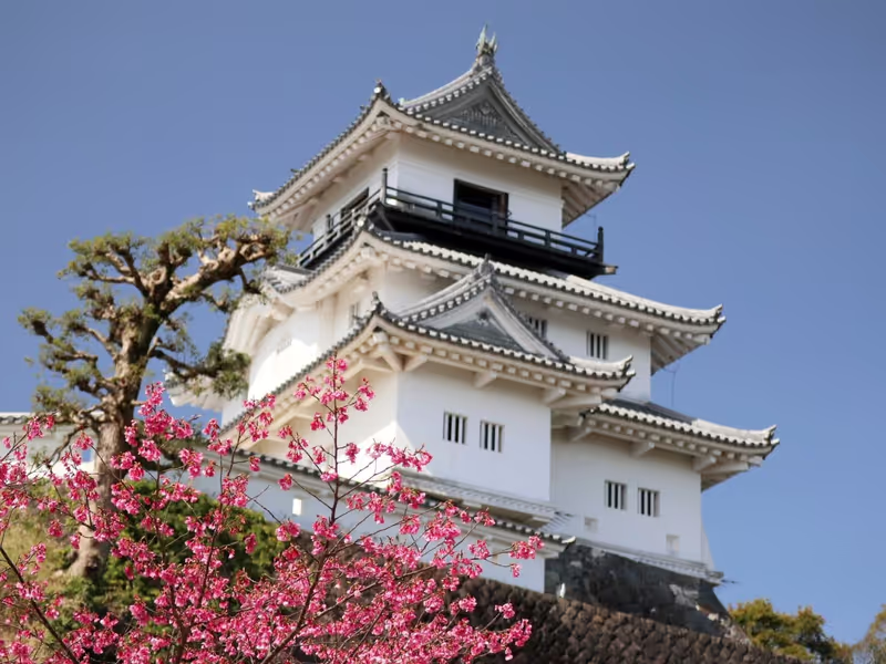 Other Shizuoka Locations Private Tour - Kakegawa Castle (Donjon)