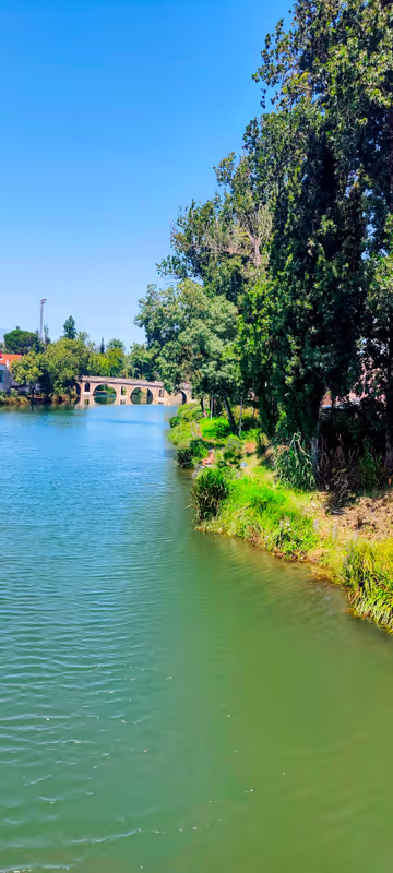 Tomar Private Tour - 