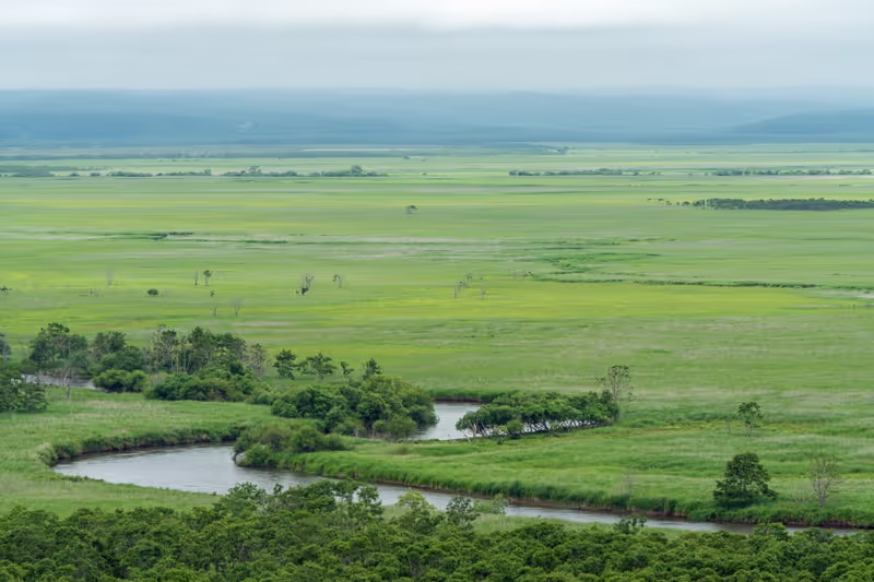 Hokkaido Private Tour - Kushiro Shitsugen National Park