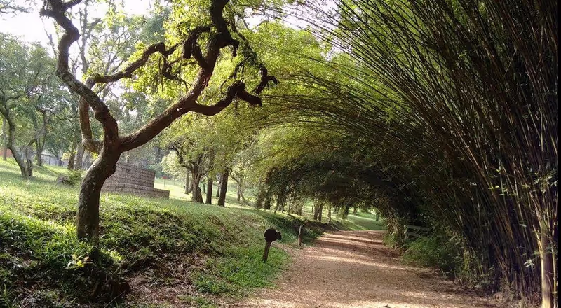 Sao Paulo Private Tour - 