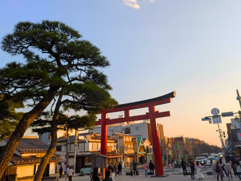 Kamakura Private Tour - Porte Torii