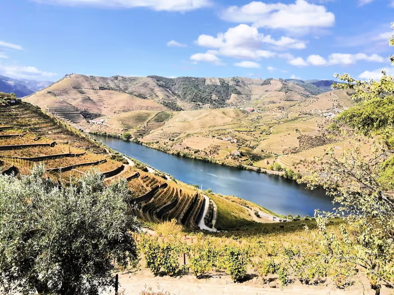 Lisbon Private Tour - Douro Valley