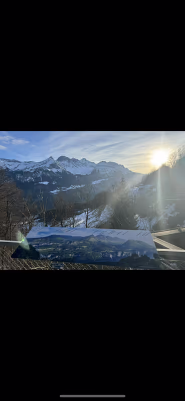 Zurich Private Tour - Brünig pass view