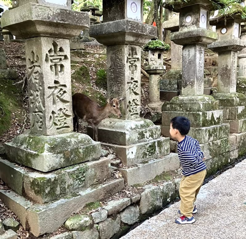 Nara Private Tour - Approach to Kasuga Taisya Shrine