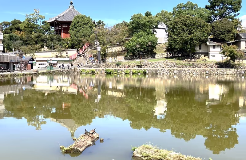 Nara Private Tour - Sarusawa Pond at the end of Sanjyo Dori