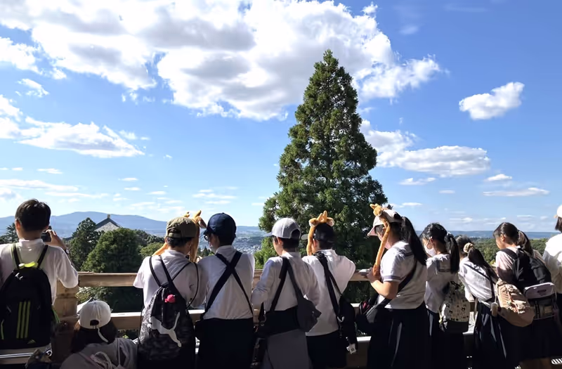 Nara Private Tour - Overlooking from Nigatu-do Veranda