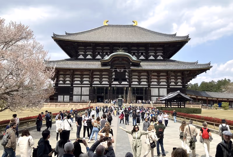 Nara Private Tour - Great Buddha Hall with cherry blossoms