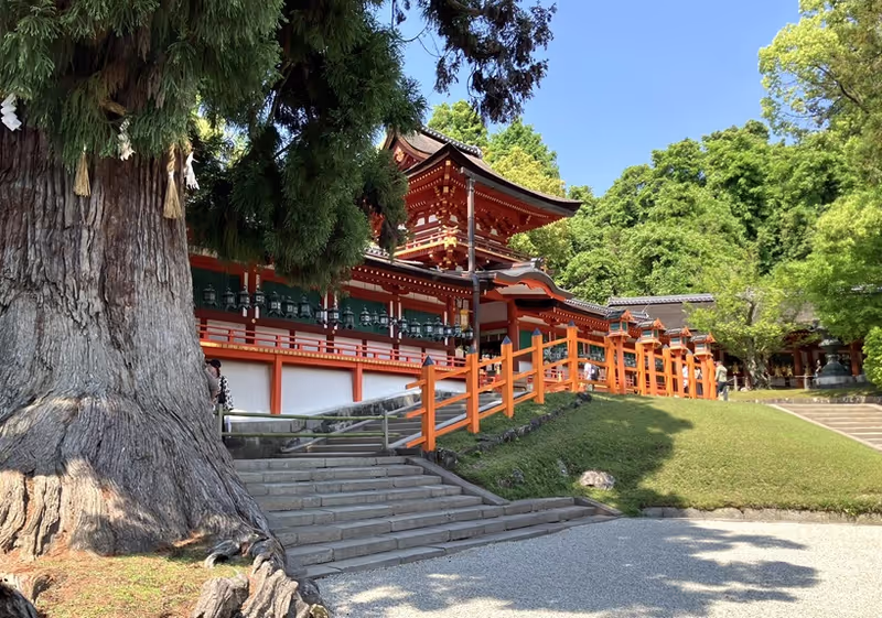 Nara Private Tour - Kasuga Taisya Shrine