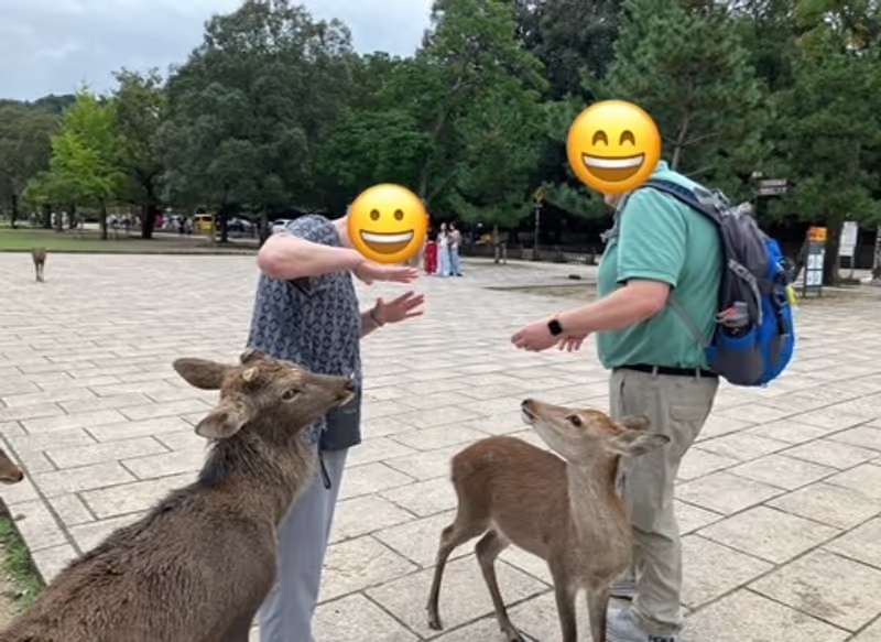 Nara Private Tour - Dear in nara Park