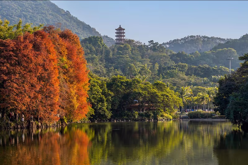 Shenzhen Private Tour - the Fairy Lake Botanical Garden