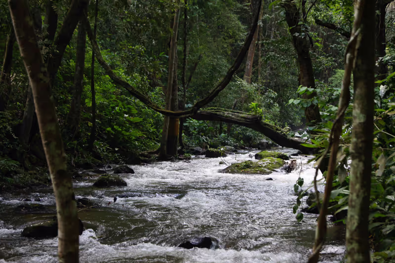Chiang Mai Private Tour - Pha Dok Siew Nature Trail