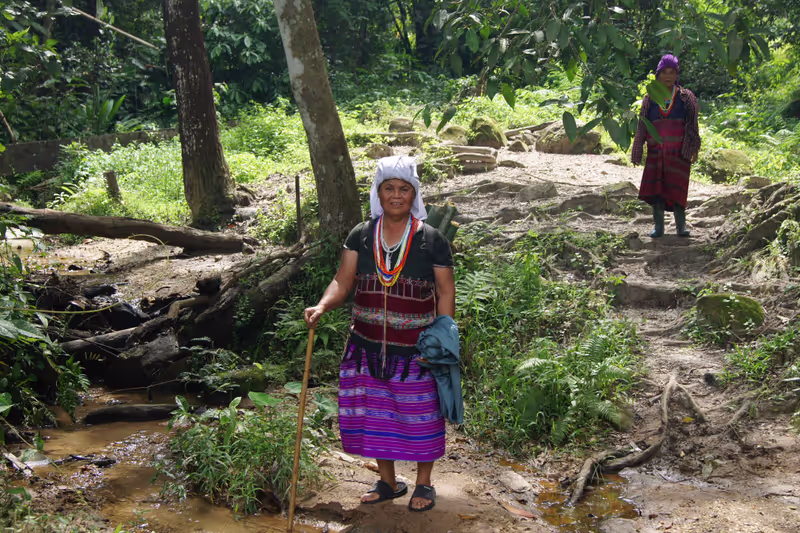 Chiang Mai Private Tour - Pha Dok Siew Nature Trail