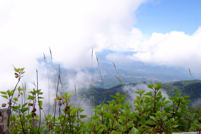 Chiang Mai Private Tour - Kew Mae Pan Nature Trail (Nov–May only)