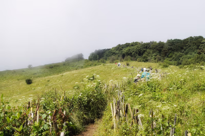 Chiang Mai Private Tour - Kew Mae Pan Nature Trail (Nov–May only)