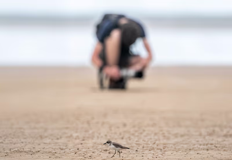 Phuket Private Tour - The joy of bird watching and photography