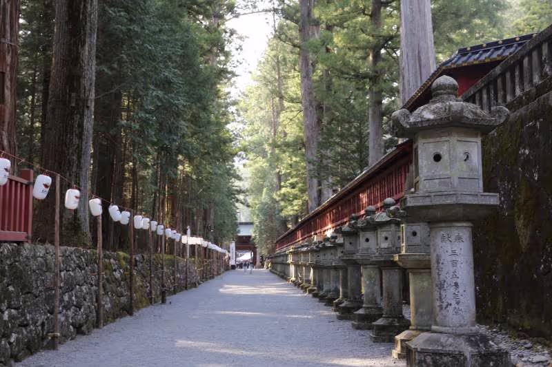 Tokyo Private Tour - Old Ceder trees road between Toshogu and Taiyuin