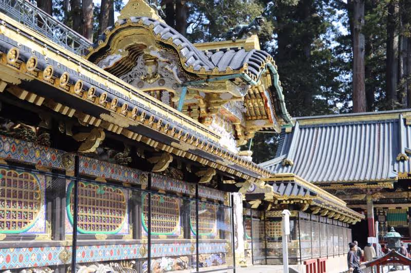 Tokyo Private Tour - Toshogu Shrine
