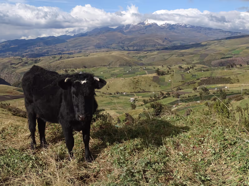 Quito Private Tour - Cayambe in the background