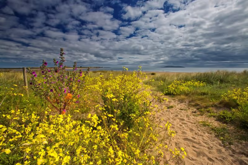 Dublin Private Tour - Malahide Beach