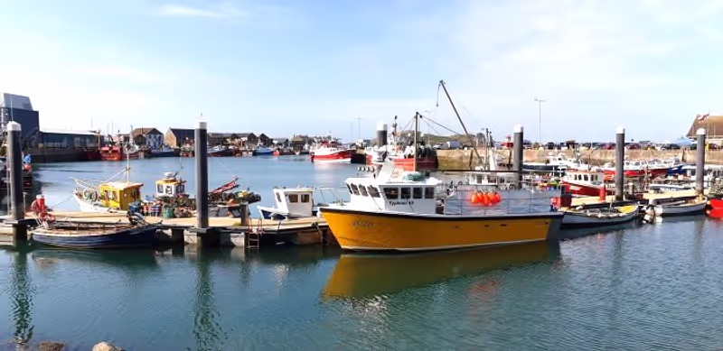 Dublin Private Tour - Howth Harbour