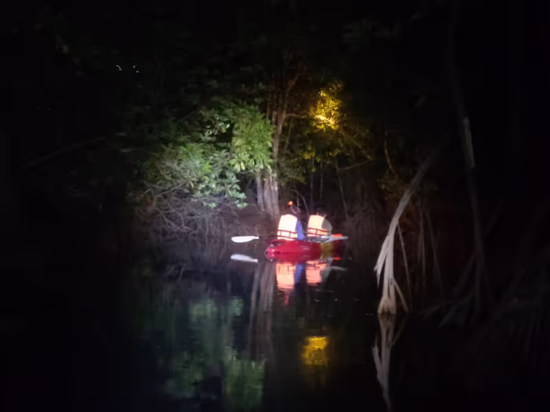 Phuket Private Tour - 