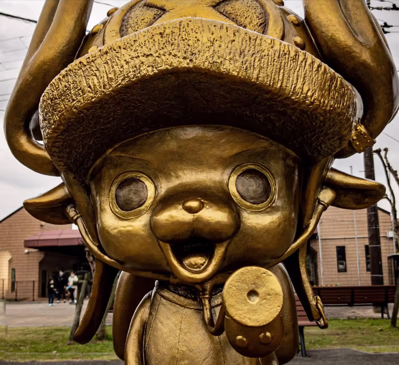 Kumamoto Private Tour - ONE PIECE TOUR